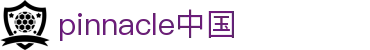 平博·(pinnacle)中国官方网站